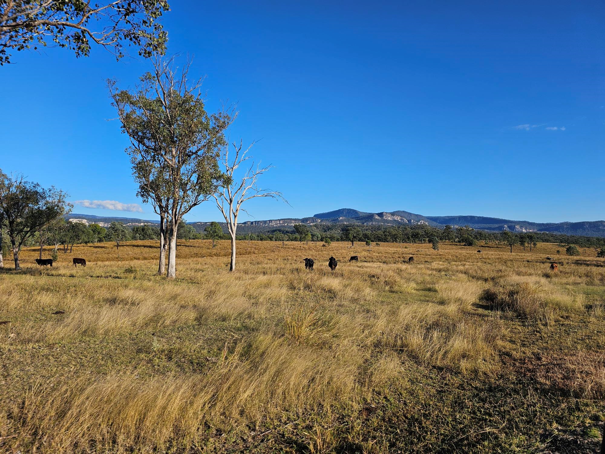 Fossicking and Carnarvon