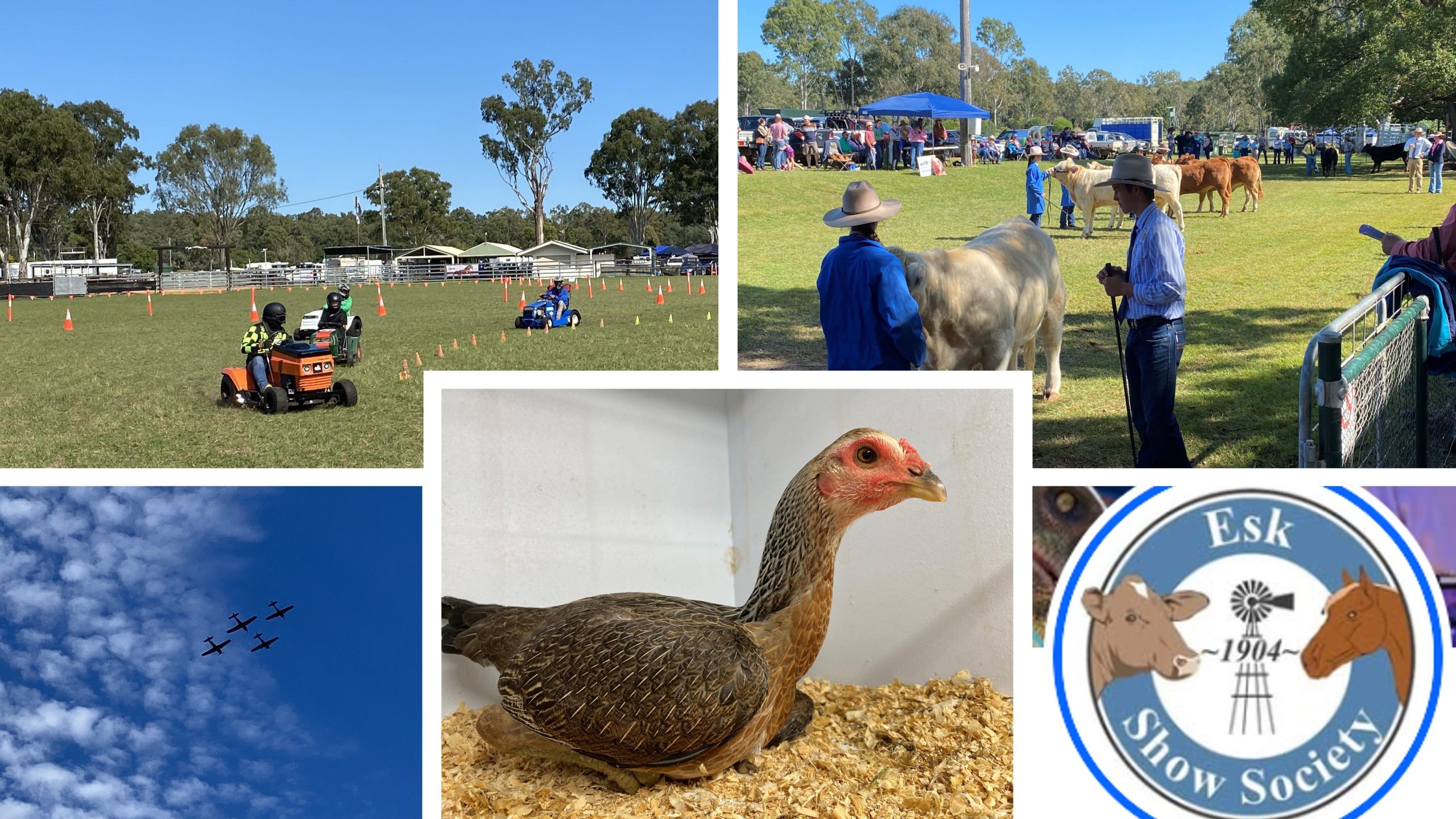 The Esk Show – something for everyone